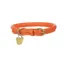 Digby and Fox Rolled Leather Dog Collar in Orange